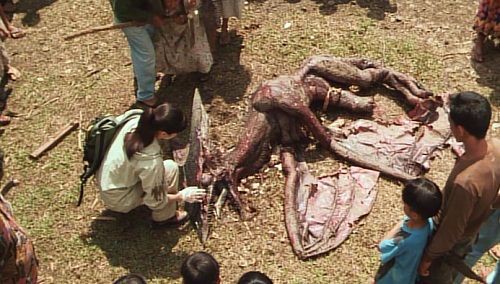 ガメラ3 邪神 イリス 覚醒 観ました 日々徒然 映画とアニメなテレビ