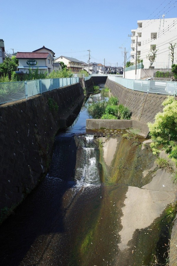 長津田十景 住撰夕照 長津田みなみ台公園 ちゃっぷの温泉 ハイキングブログ