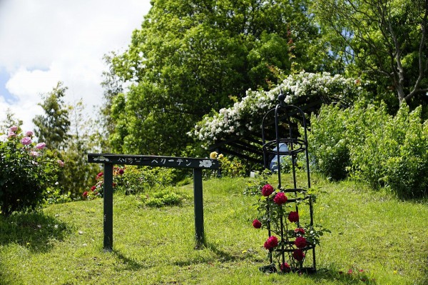 荏子田太陽ローズガーデン22春 詳細版 ちゃっぷの温泉 ハイキングブログ