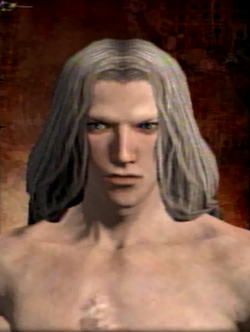 ドラゴンズドグマのキャラメイク キャラクリエイト キャラエディット レシピまとめ６ Charamake ちゃらまけ のキャラメイクブログ