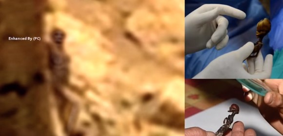 火星で小型アタカマ ヒューマノイドが発見される 地 球 情 報 局