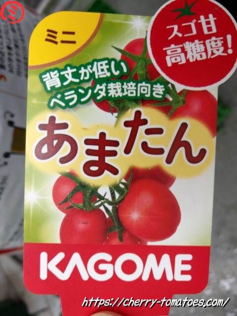 カゴメのあまたん苗を購入 背丈の低い高糖度ミニトマトの特徴は 21年 ミニトマトのプランター栽培記録 ベランダ家庭菜園ブログ カゴメのあまたん苗を購入 背丈の低い高糖度ミニトマトの特徴は 21年 ミニトマトのプランター栽培記録 ベランダ家庭菜園ブログ