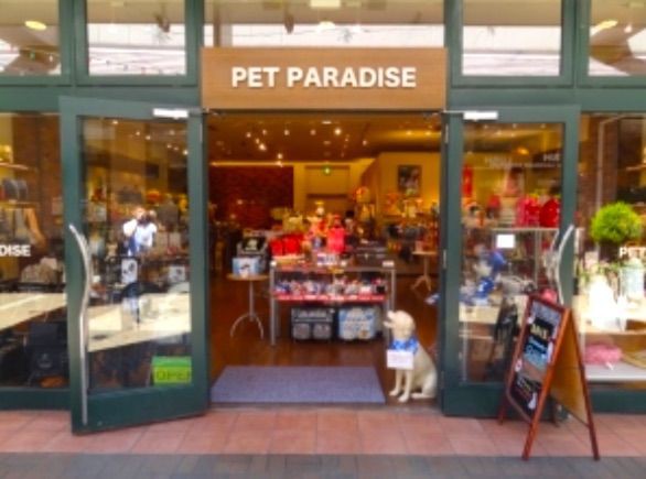 犬連れて南町田グランベリーモール ワイアードキッチン シェビーズのブログ