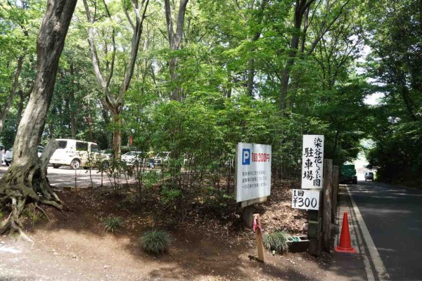 犬連れて さいたま市 染谷花しょうぶ園 シェビーズのブログ