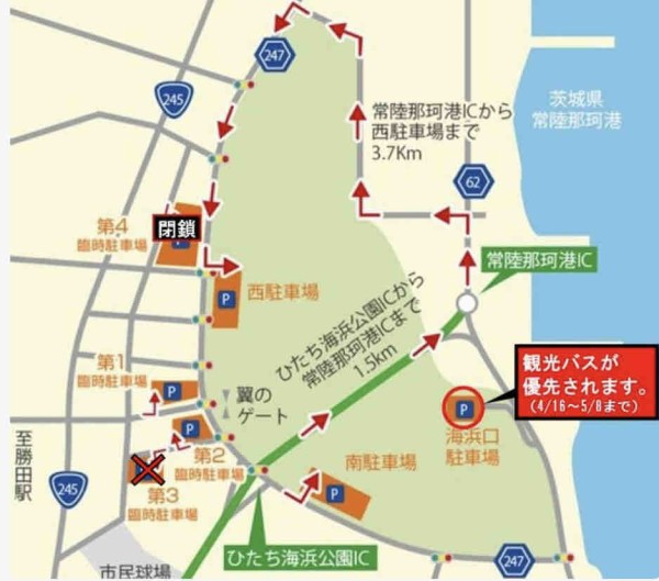 犬連れて ひたち海浜公園 ネモフィラ シェビーズのブログ 犬連れて ひたち海浜公園 ネモフィラ シェビーズのブログ