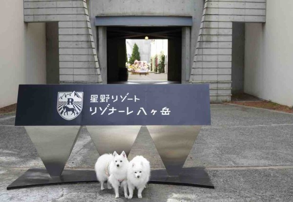 犬連れて リゾナーレ八ヶ岳 安曇野清里旅行 シェビーズのブログ