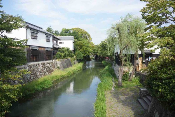 犬連れて 近江八幡 ラコリーナ 琵琶湖 伊勢志摩旅行 シェビーズの