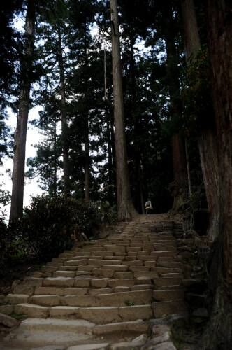 土門拳 古寺巡礼 奈良室生寺 奥の院 読む写真