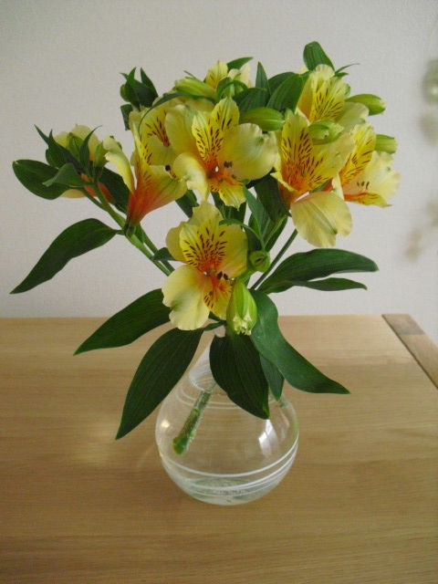 すべての花の画像 最新アルストロメリア 花瓶