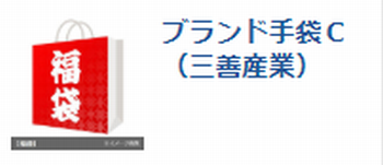 ネタバレ ブランド皮手袋が入ってる 19 西武 そごうのe デパート の 手袋福袋 はお得だった 主婦のためのお買い物達人マニュアル