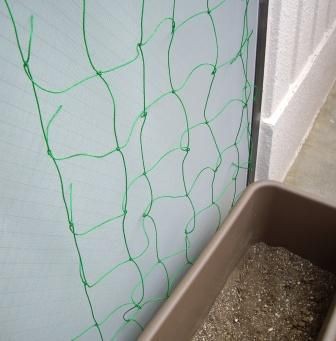 ゴーヤ ネットを設置 小さなベランダ