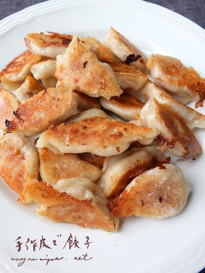 Gステラ焼き餃子 世界公式記録に挑戦！～地域の恵みを包む世界最大の焼き餃子