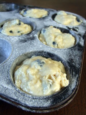 ブルーベリーマフィンの作り方 5年目のブルーベリーの木 カリフォルニアのばあさんブログ Powered By ライブドアブログ