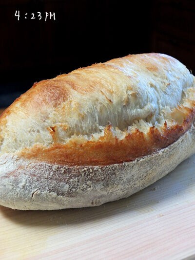 朝仕込んで午後焼くフランスパン カリフォルニアのばあさんブログ Powered By ライブドアブログ
