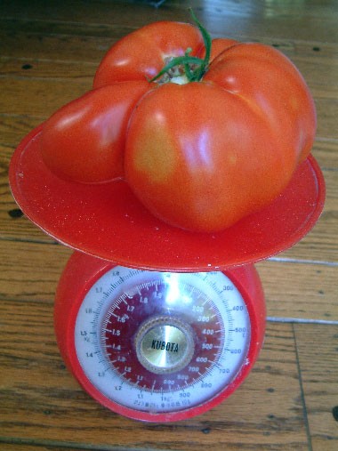 トマトソースの作り方 カリフォルニアのばあさんブログ Powered By ライブドアブログ