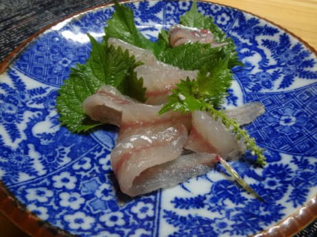 カマスの刺身 佐渡 移住日記