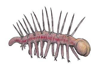 おんj絶滅生物部 ちえぶくろ速報 おんj絶滅生物部 ちえぶくろ速報