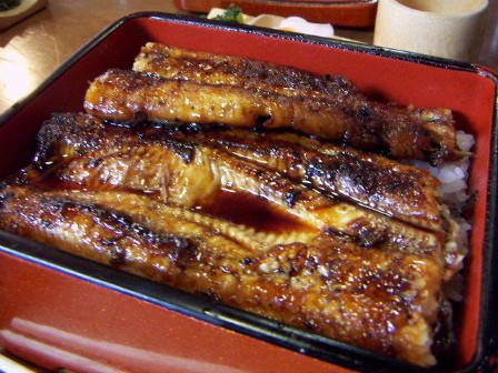 富士川遡上紀行２ 蒸さない鰻と焼かない鰻の美味 酒徒善人