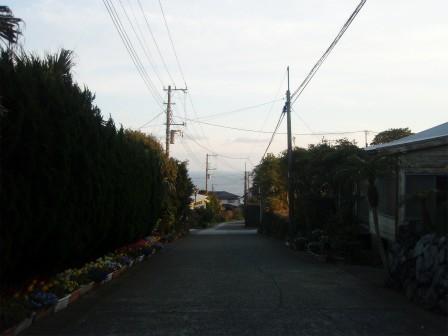 八丈島５ 島酒飲み放題の あしたば荘 絶景足湯で味わうカップ酒 酒徒善人