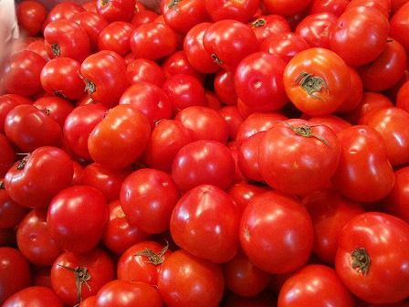 広州市場便り８ 追憶のトマト攻め 吃尽天下