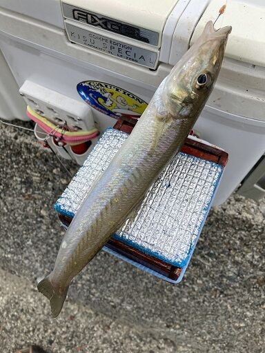 能登で投げ釣り 七尾でキス釣り 穴水で夜釣り 月夜のおっちゃん