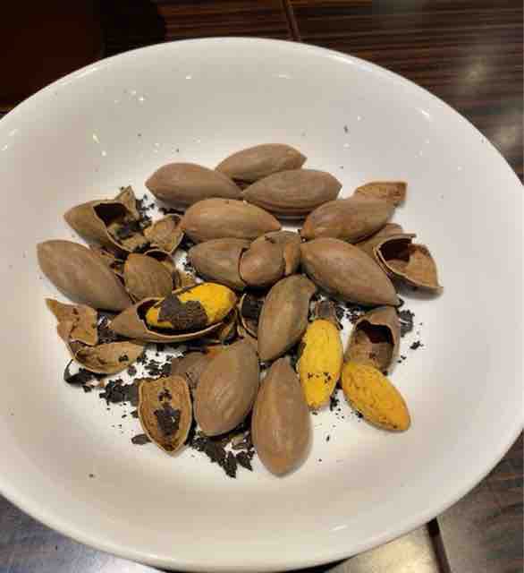 榧 カヤ の実を食べる 茶苗話