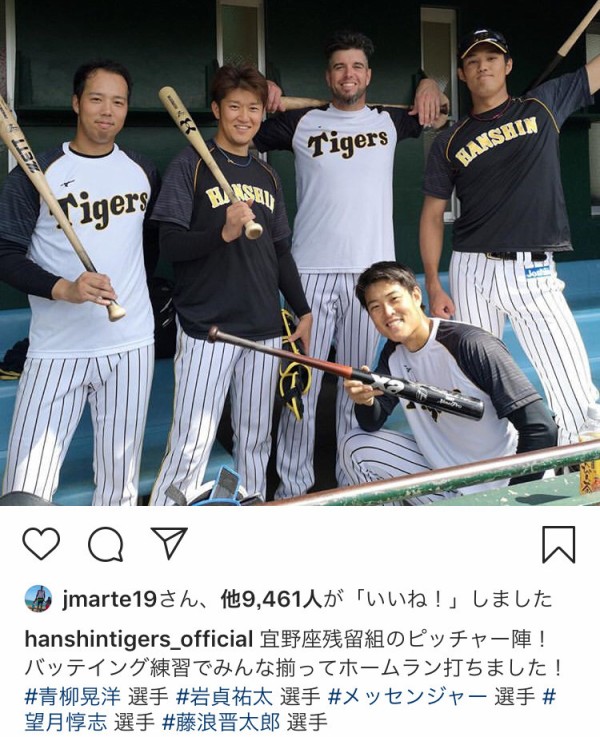 最高級のスーパー プロ野球 日刊 NPB 阪神タイガース藤浪晋太郎バット