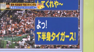 再放送 和田豊 愛しい奈々 おはよー チュッ 笑 ちな虎やが 阪神タイガースまとめ