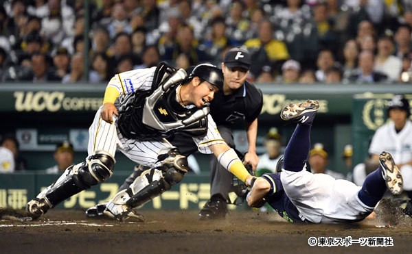 顔面に牽制球直撃の阪神 梅野がサヨナラ生還 心地良い痛みです ちな虎やが 阪神タイガースまとめ