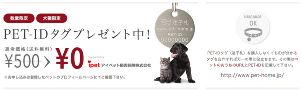 Pet Idタグ 迷子札 をつけました ペットのおうち Pet Idタグプレゼント Chinchilla Silvers With Goldenn