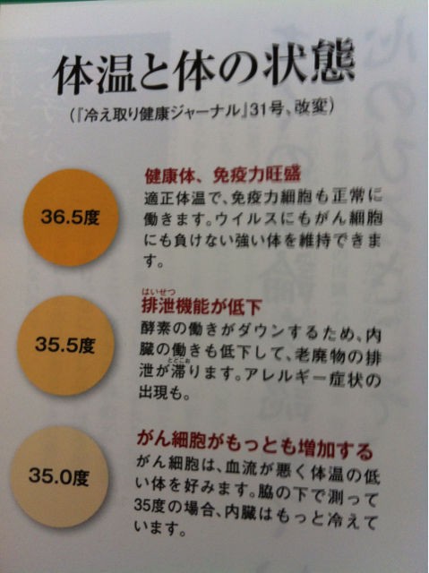 株式会社賃貸ハウス社長 第281回 低体温を考える 株式会社賃貸ハウス 社長ブログ 株式会社賃貸ハウス社長 第281回 低体温を考える 株式会社賃貸ハウス 社長ブログ