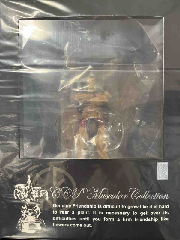 CCP CMC NO.80 ザ・ホークマン 原作カラー : チルチル フィギュアの