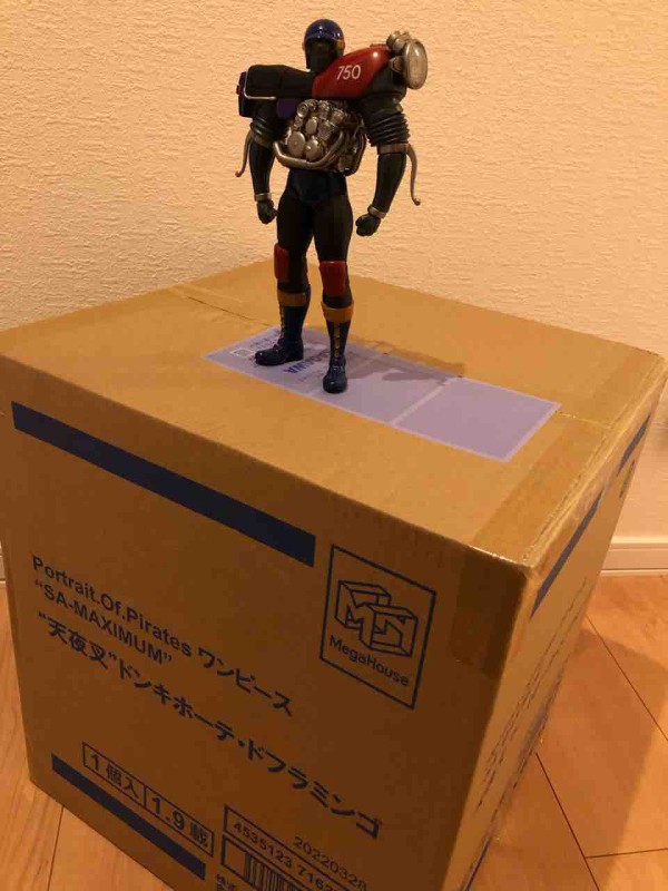 CCP CMC NO.062 バイクマン 特別カラー : チルチル フィギュアの