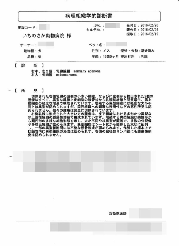 骨組織の品種の特徴
