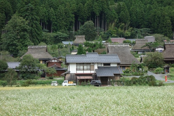 これまでで最高のや さか 動物 病院 救急 最高の動物画像