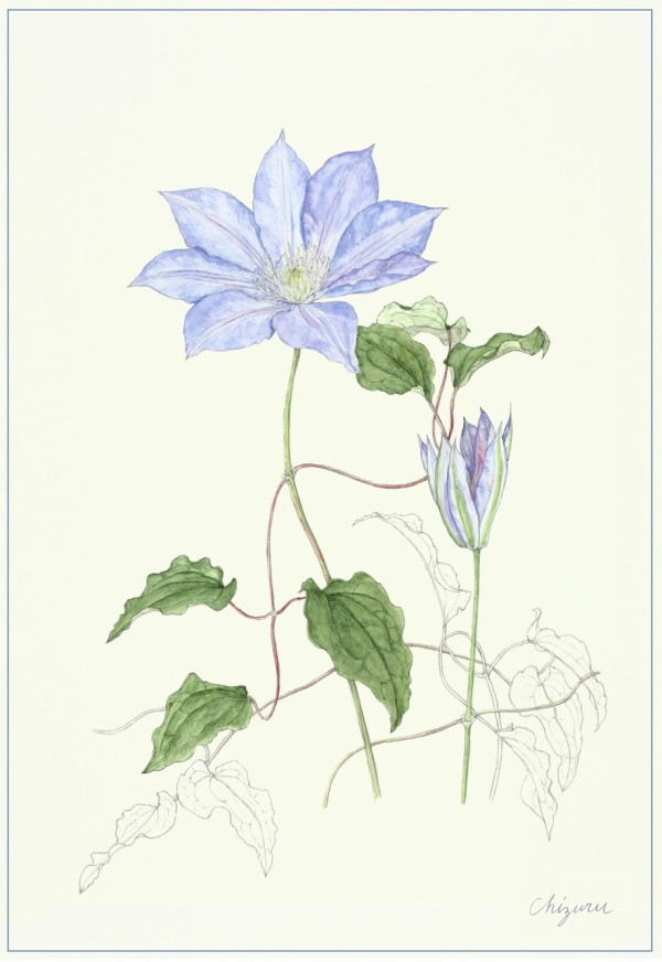 つるバラ マツモト作 絵画
