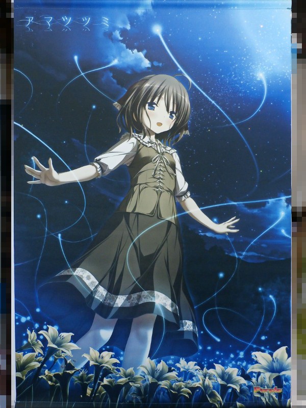 SR 水無月 ほたる 販売 | パープルソフトウェア 1.0 | Lycee