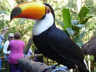 子連れブラジル旅行8 イグアスの滝 ブラジル側 Chocoの日記 翻訳 その他にて我が道を行く