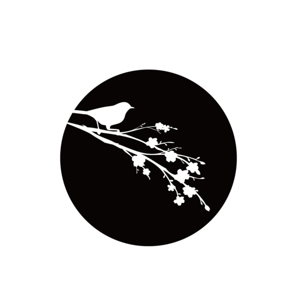 やっと二桁 レンチン梅 ゆる家事でいこう やっと二桁 レンチン梅 ゆる家事でいこう