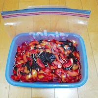 年トライ 梅仕事 割梅のカリカリ漬け 1 簡単 電子レンジで梅仕事 レンチン梅