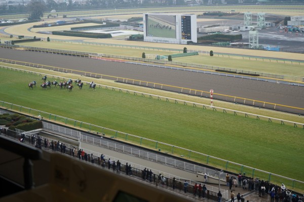 相互エール企画 東京競馬場 馬主席 の体験レポート ちょうふ通信