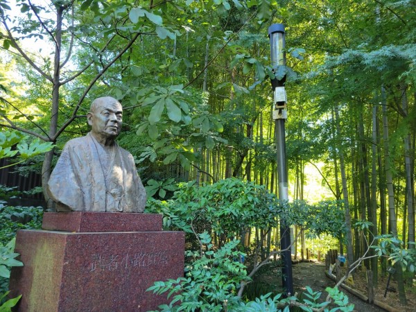 透明度が凄い！武者小路実篤邸の近くの池にニジマス発見（実篤公園