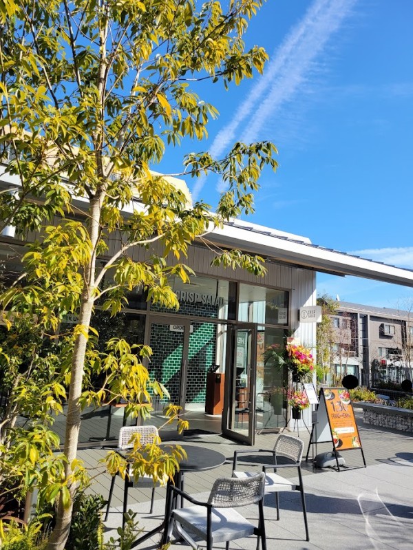 開店】