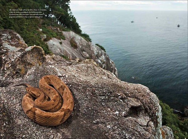 なにこれ 世界に存在する10の変な島 チョイ見