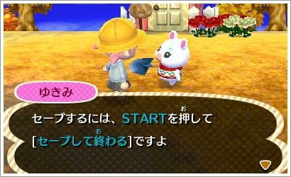 ３ｄｓ とびだせどうぶつの森 自己満ゲーム日記