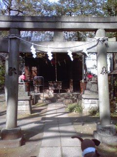 東京のパワースポット 赤坂氷川神社 その 合気道月光流道場長 チョコ助と伊東健治の公式ブログ 骸 むくろ をつけていま一戦 ひといくさ せん