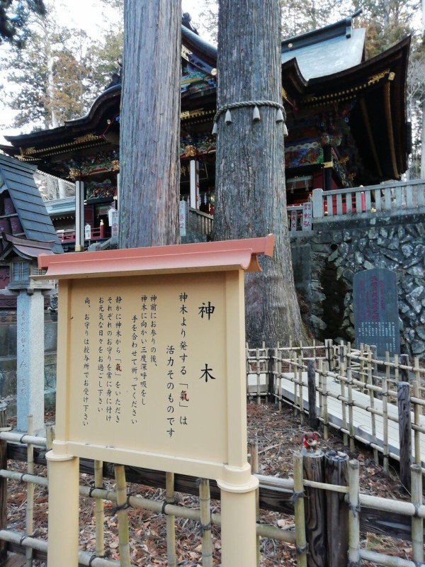 三峯神社 関東最強のパワースポット 合気道月光流道場長 チョコ助と伊東健治の公式ブログ 骸 むくろ をつけていま一戦 ひといくさ せん