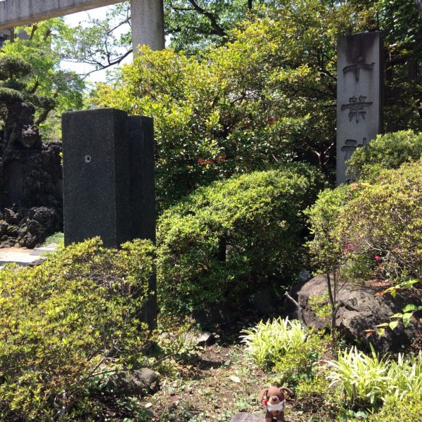 千葉神社 千葉県のオススメパワースポット 合気道月光流道場長 チョコ助と伊東健治の公式ブログ 骸 むくろ をつけていま一戦 ひといくさ せん