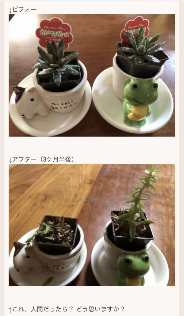 E9E3CB1C-DB15-40CC-A987-1269D1625158