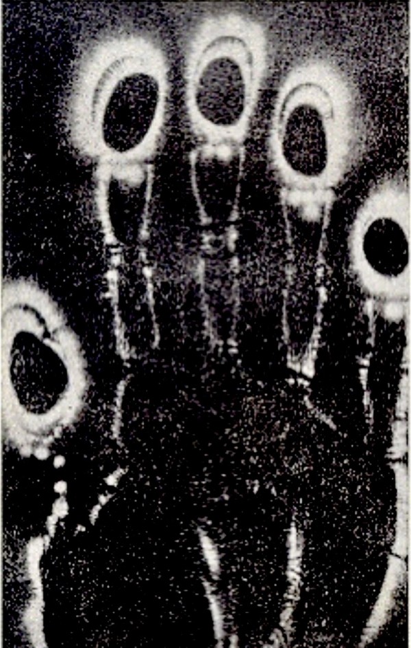 6883078B-5903-4E09-B262-07D7CA0727B0